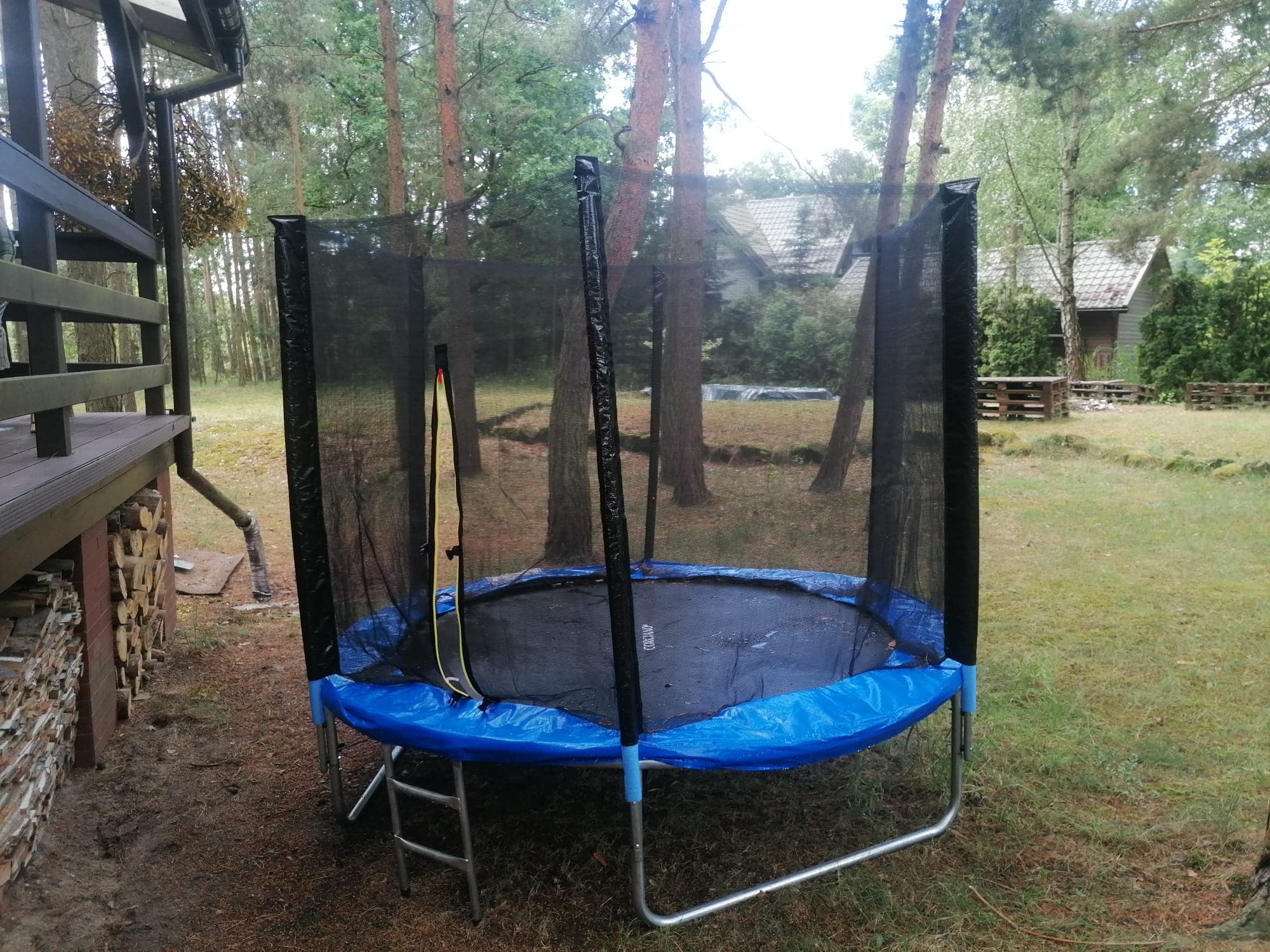 Trampolina